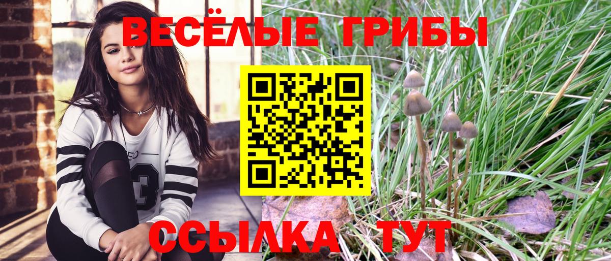 Галлюциногенные грибы Psilocybine cubensis Камышин