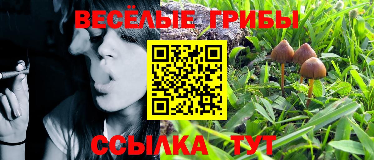 Галлюциногенные грибы мицелий  Вход с VPN  Камышин 