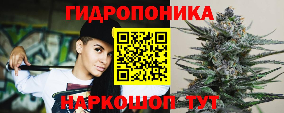 Марихуана конопля  Канабис планчик  Камышин  Бошки марихуана OG Kush  Вход с VPN  Каннабис White Widow 