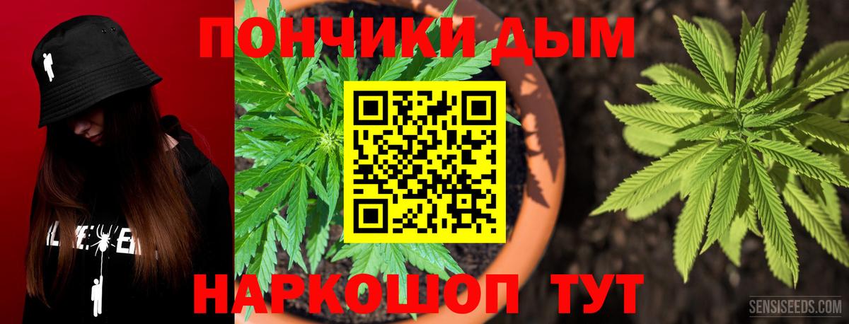 МАРИХУАНА семена Камышин